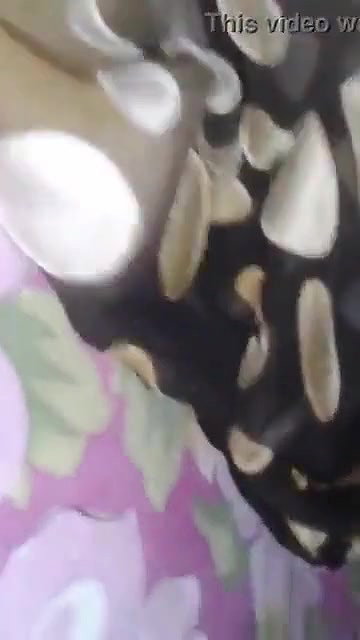 Village bhabhi 5 clips marged