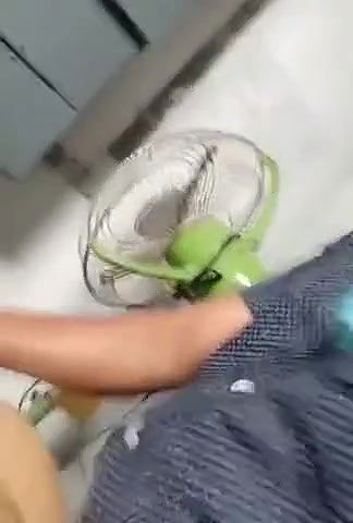 Desi village nurse getting fucked by colleague