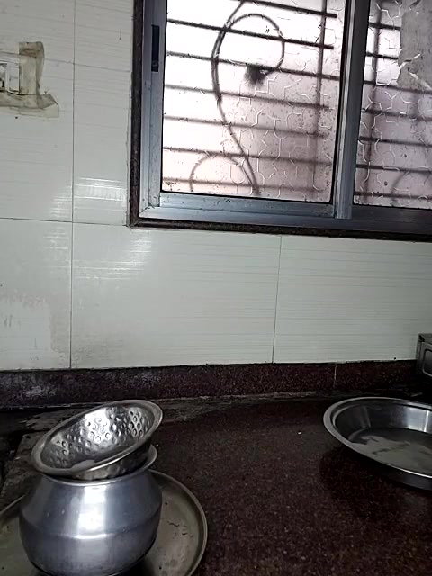 Desi Cute girl Pussy and Boob Show in Kitchen