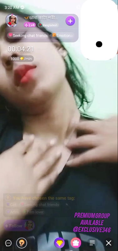 dana kata pori chamet