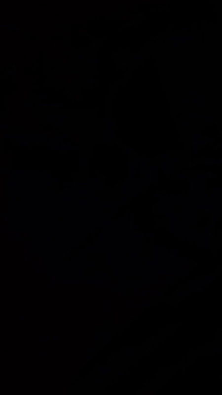 Sonagachi  romm video