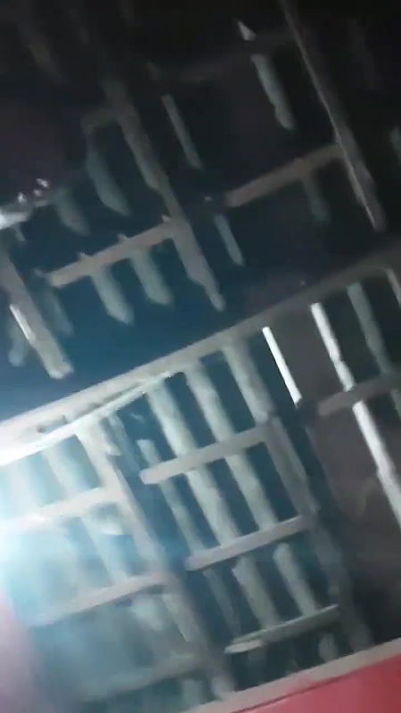 Sonagachi  romm video