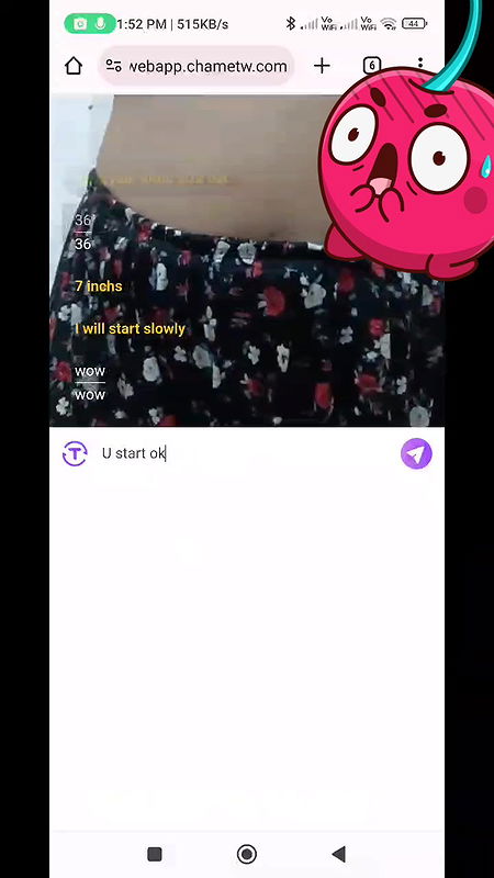 chamet earnrstlychee