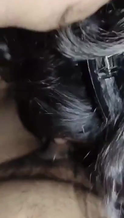 kc beautiful blowjob