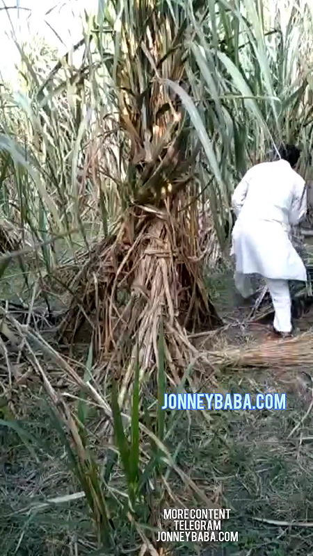 Capture force to sex ex wife in jungle