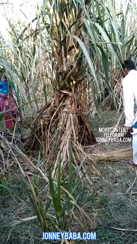 Capture force to sex ex wife in jungle