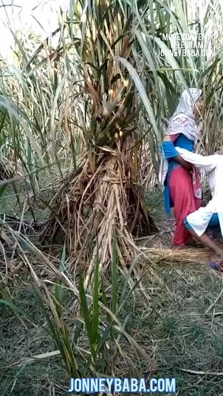 Capture force to sex ex wife in jungle