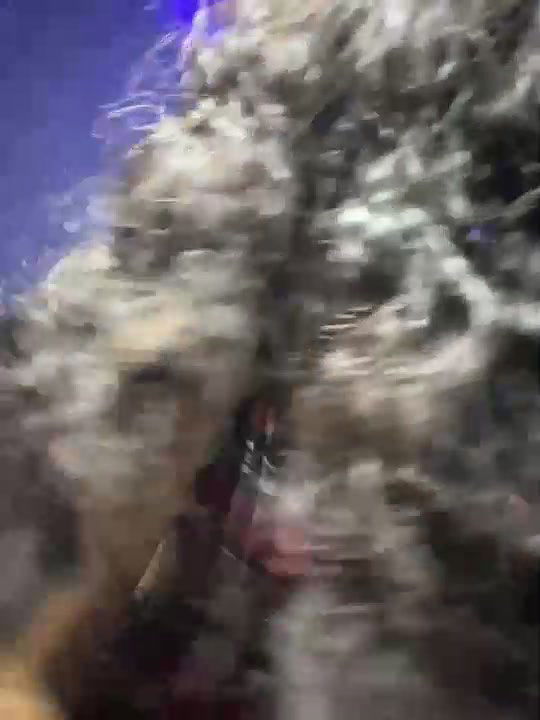 Desi cute girl ap video collection