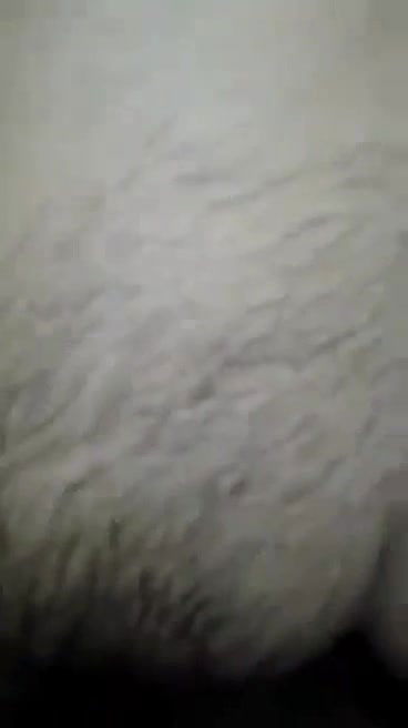 Bangladeshi mature Bhabhi fucking  FSI BlogP version