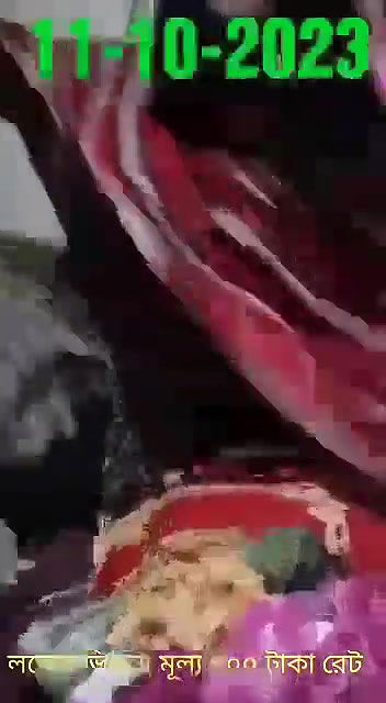 লঞ্চের ভিতর ভাষা ৩০০ টাকা ভিজিট১১১০২০২৩