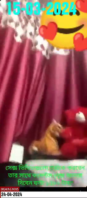 সেক্স ভিডিওগুলো কন্টাক করবেন তার সাথে কমেন্টস বক্সে জানায় দিবেন ঘন্টা ১৫০০ টাকা