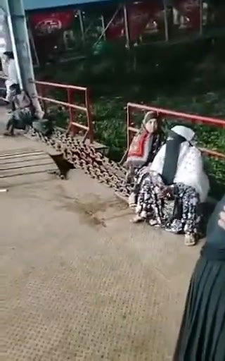 ঢাকা সদরঘাট ছেরিরা বইসা রইছে এরা মাগির দালাল এক শর্ট ৫০০ টাকা