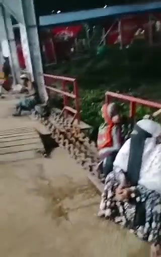 ঢাকা সদরঘাট ছেরিরা বইসা রইছে এরা মাগির দালাল এক শর্ট ৫০০ টাকা