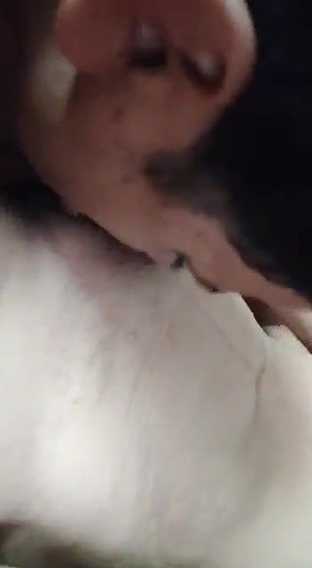 Foreplay sex with Indian mature Bhabhi before fucking