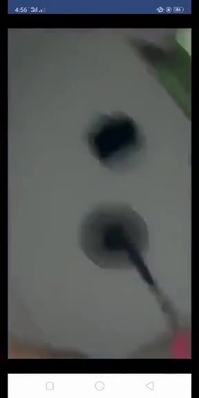 Newest cute and horny girl viral leak