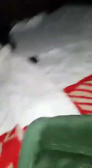 Hot Girl Riding Dick