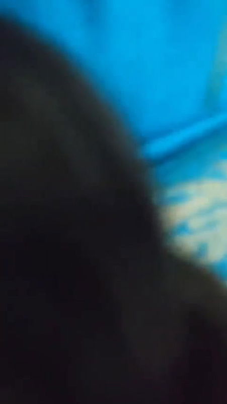 Bhabhi in Blue Saree Doggy Fuck