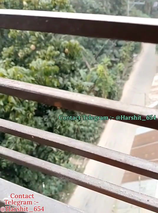 NEW STRIPCHAT VIDEO COLLECTION 14