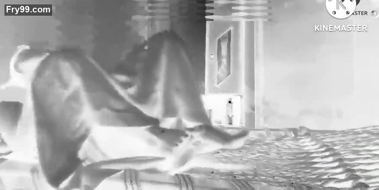 Indian desi girl was fucked her boyfriend, Indian xvideo