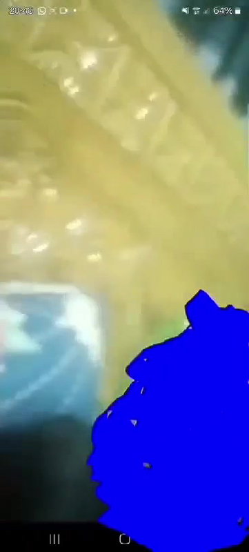 VID06252025324654 20