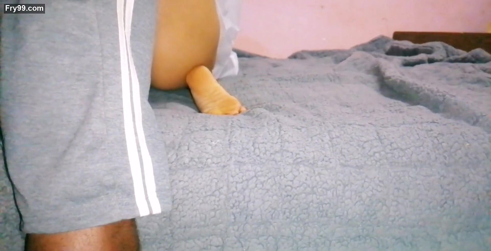 Student and teacher Fuking