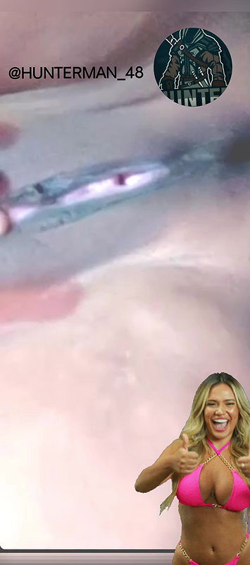 chamet cherry romantic