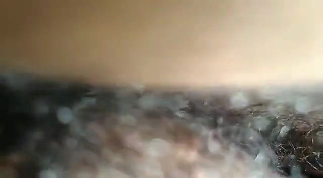 Bangladeshi Couple fucking