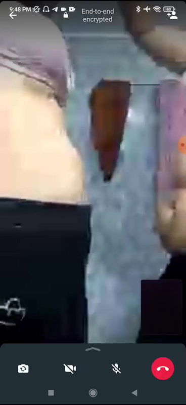 Sisters Stripping in Video Call