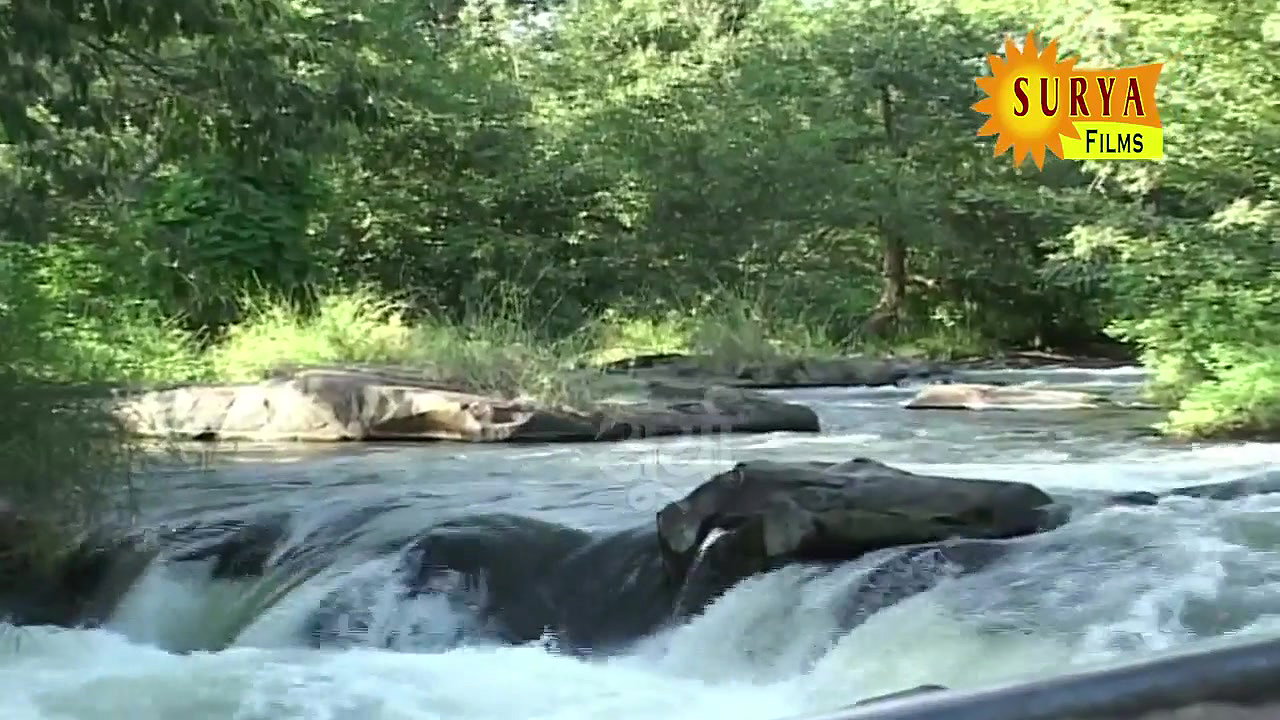 Jyotika Singh blue big