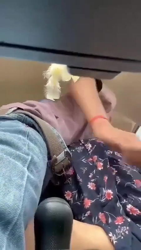 Punjabi girl ko car me choda