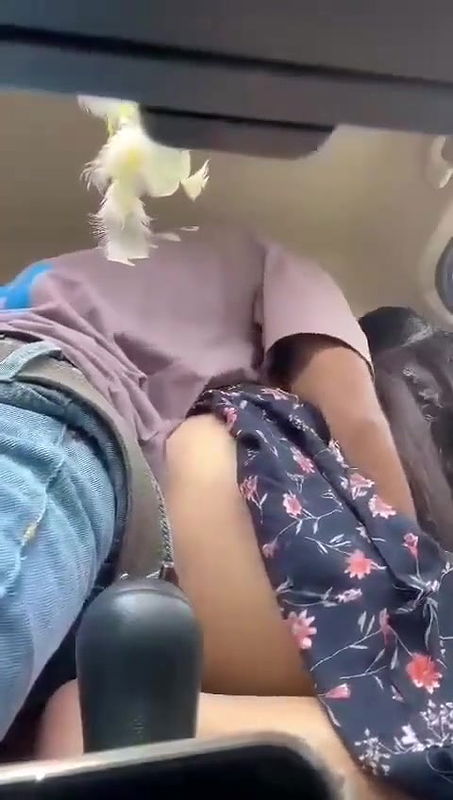Punjabi girl ko car me choda