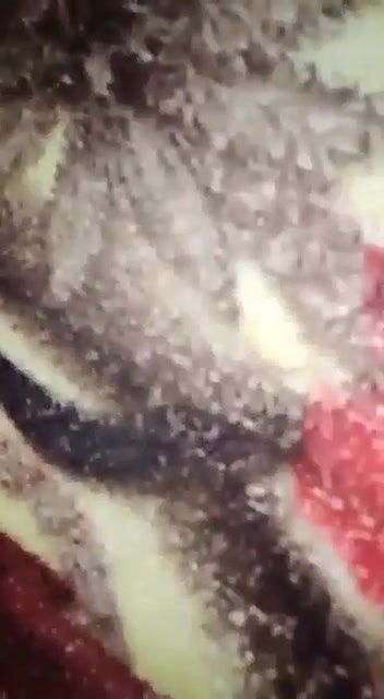 Pakistani couple Sex video