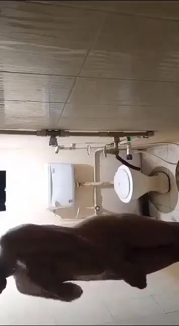 bathroom me nahate samay nangi hokar video banaya