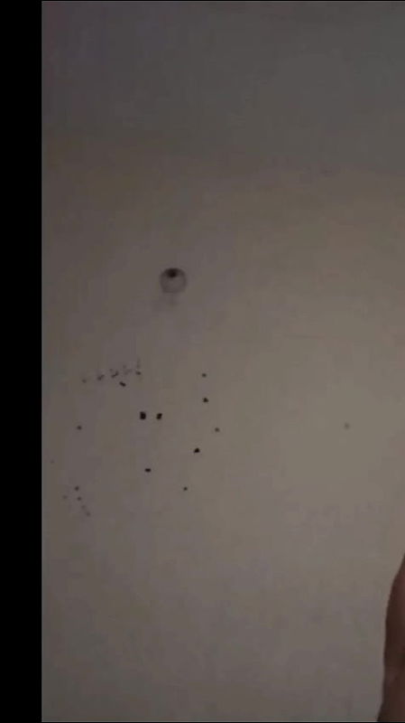 Chubby bhabhi getting fucked