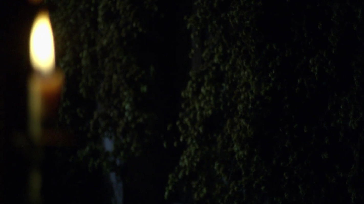 The Tudors S03 nude scenes 4