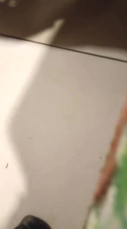 Hot Viral Desi Couples Leaked Sex Clips
