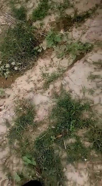 truck ke andar hi game kheldiya