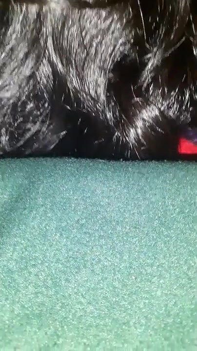 Sex husband wife 65650