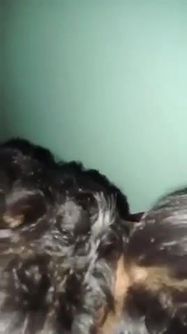 Jabardasti Chod dala