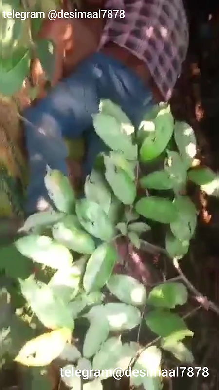 InShot20250825175350395