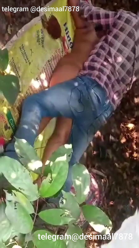 InShot20250825175350395