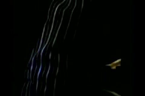 bangladeshivillagebhabhisuckingherloversdickoncam