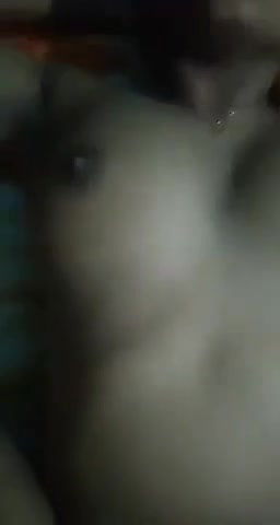 desi Bhabhi cheating 3