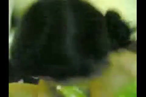 indian sex videos of gorgeous nepali singer fucked by co artist