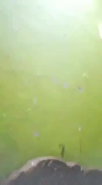 bhabhi ko raat bhar kiya