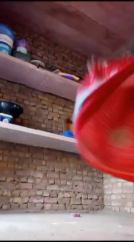 rajasthani bhabi dancing and showing part 1