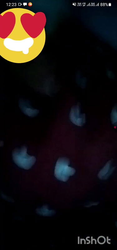 1921405854223323458  1746935497047 Atchaya mola show glimpse