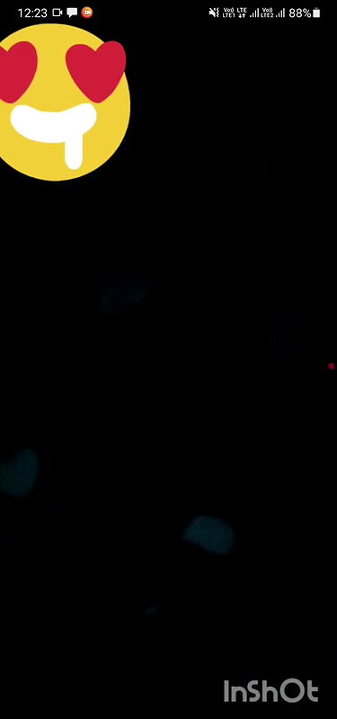 1921405854223323458  1746935497047 Atchaya mola show glimpse