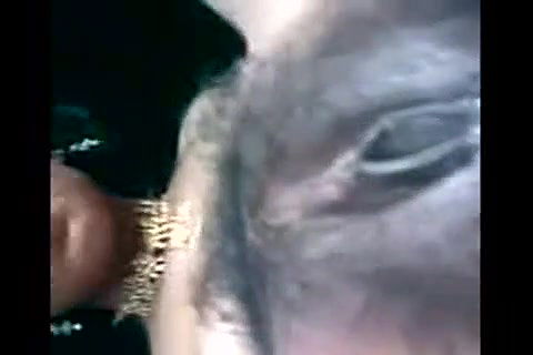 indian auntie big boobs and pussy exposed