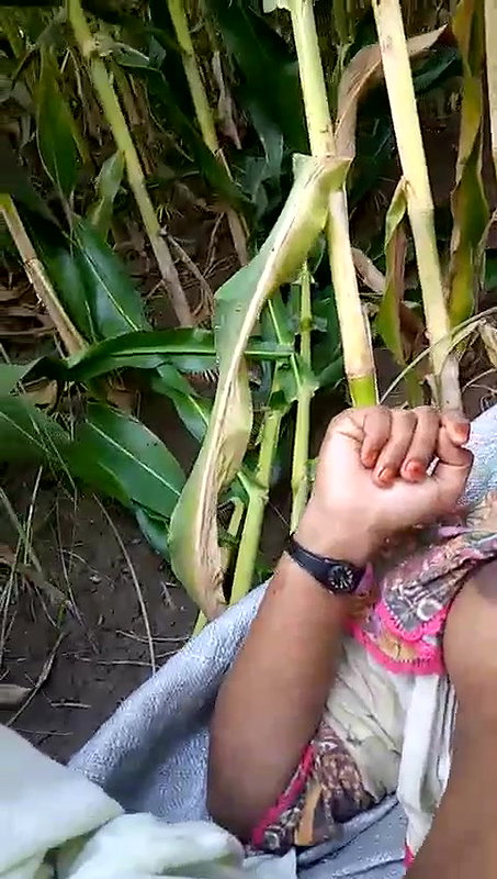 pakistani bhabhi ko khet me lejakar pela
